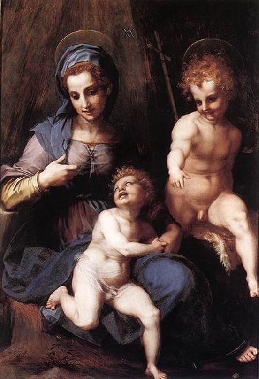 Andrea del Sarto Johannes